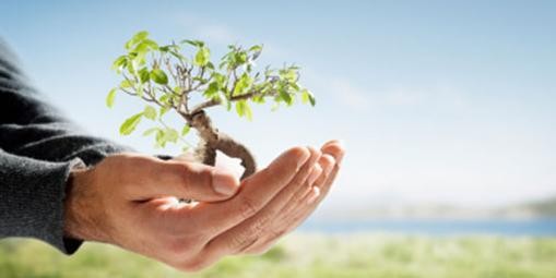 Personal Development: Personal Information