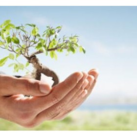 Personal Development: Personal Information